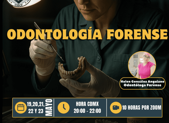 Captura de pantalla 2025-05-13 a las 10.12.00 p. m.